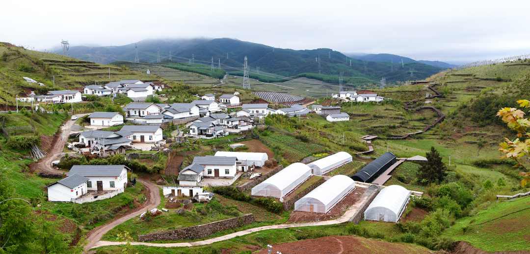 优德88·(中国游)有限公司官网