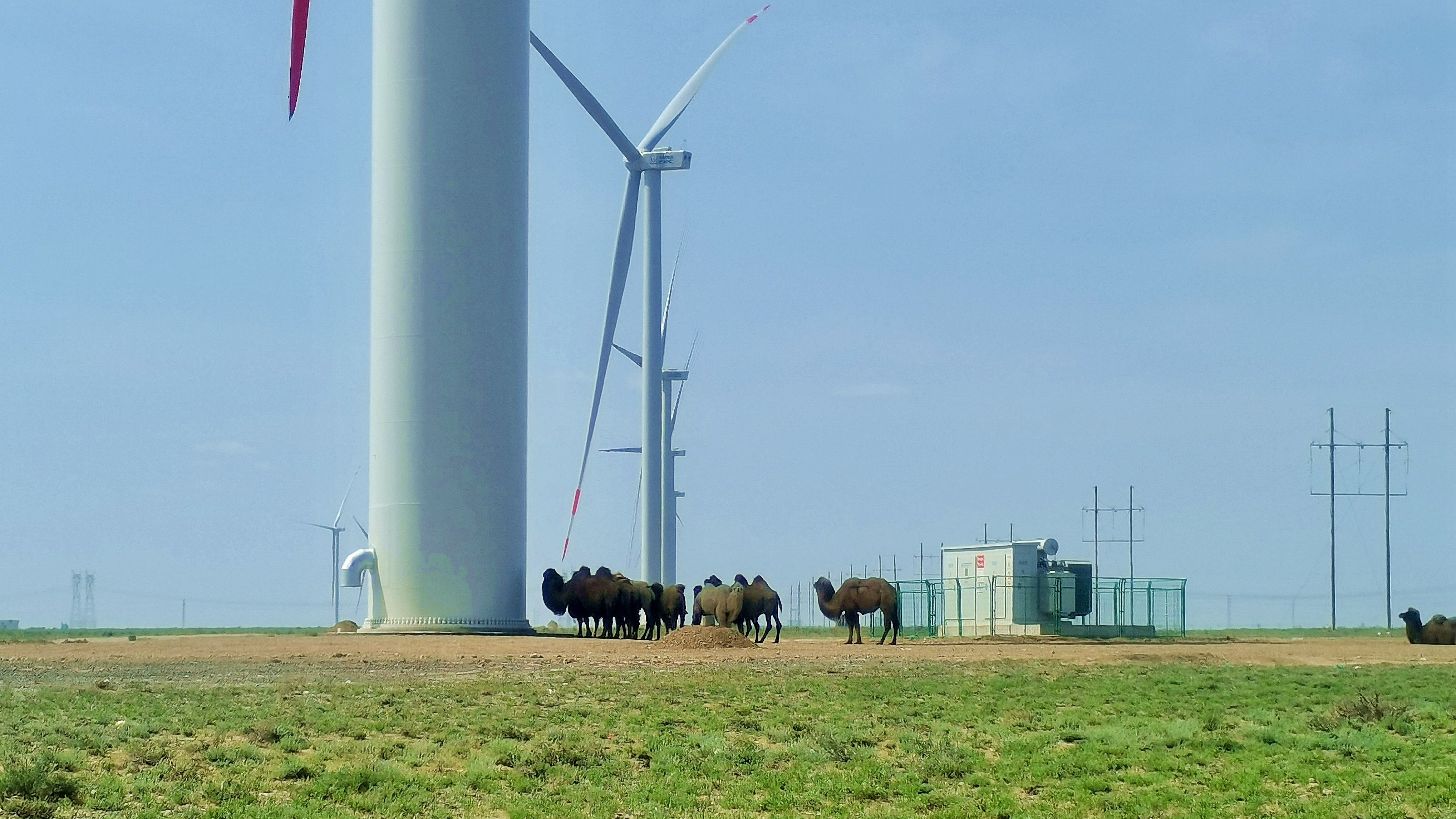 优德88·(中国游)有限公司官网