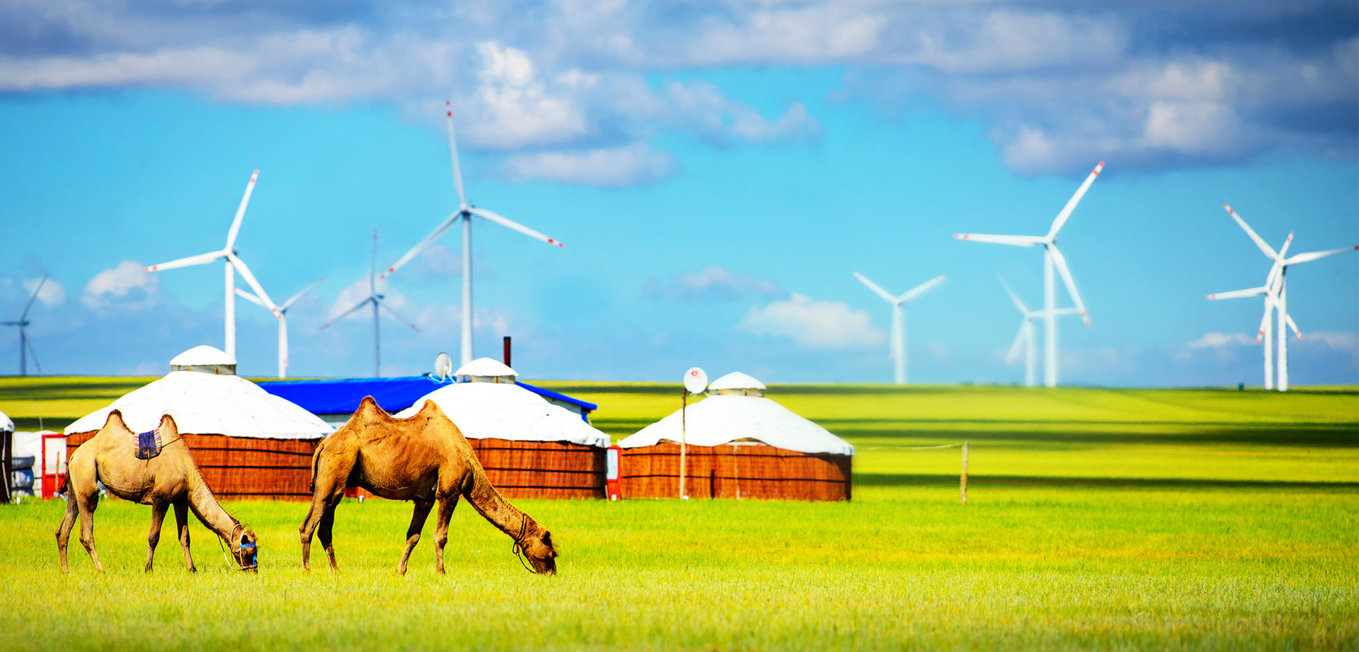 优德88·(中国游)有限公司官网